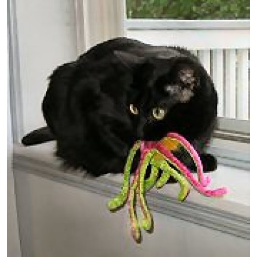 Pet - "For the love of Critters" Pet - "For the love of Critters"